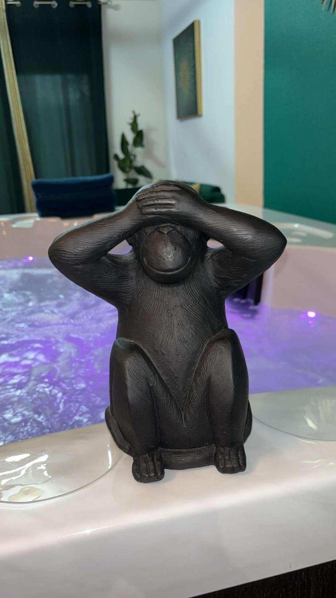 Suite Jacuzzi "Spa Privatif " Appartement Jacuzzi Tuluza Zewnętrze zdjęcie